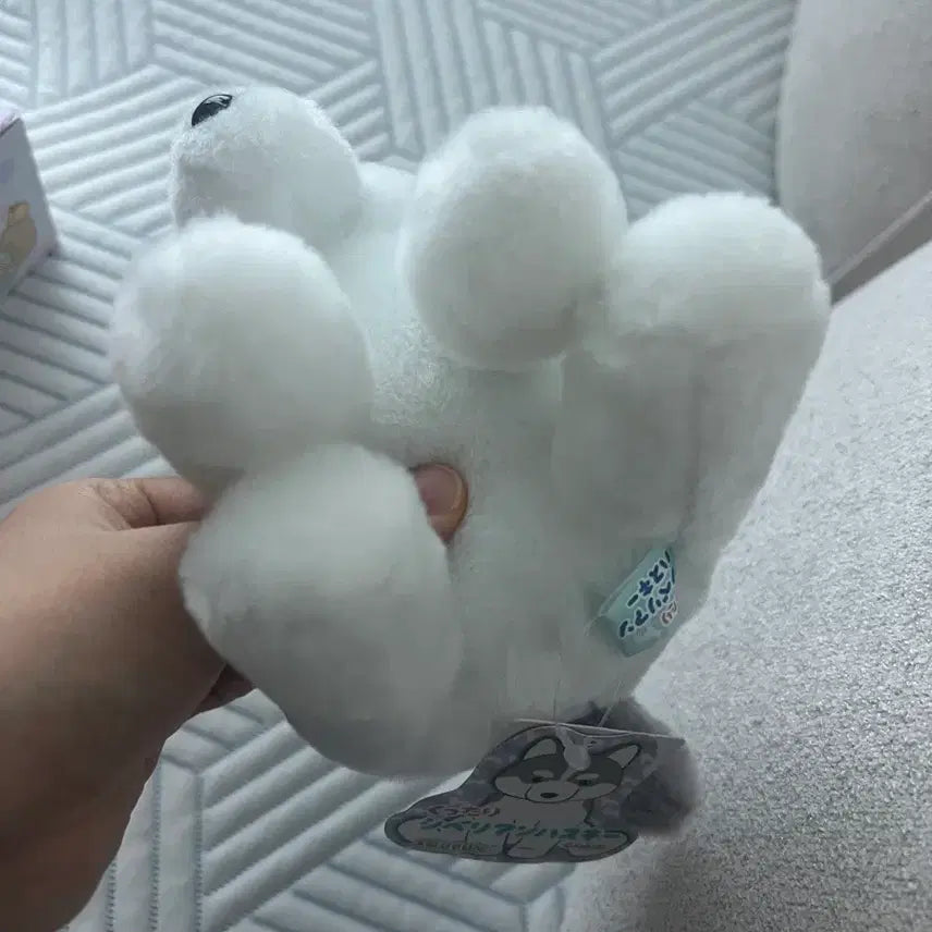 [BUNJANG] Amuse Husky Plush / 일본 어뮤즈 허스키 인형