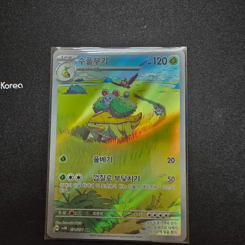 [BUNJANG] Pokemon Turtwig AR Card (S-Grade) / 포켓몬스터 수풀부기 AR 카드 (S급)