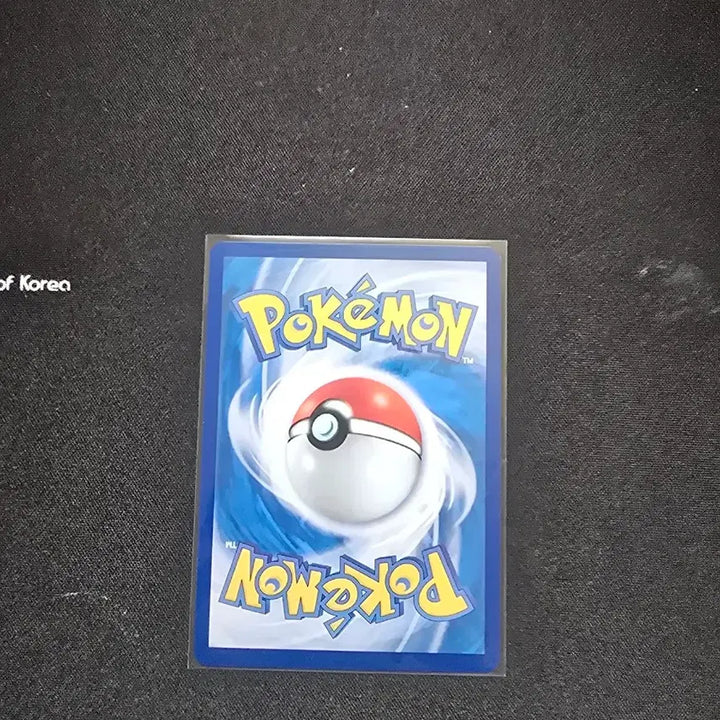 [BUNJANG] Pokemon Turtwig AR Card (S-Grade) / 포켓몬스터 수풀부기 AR 카드 (S급)