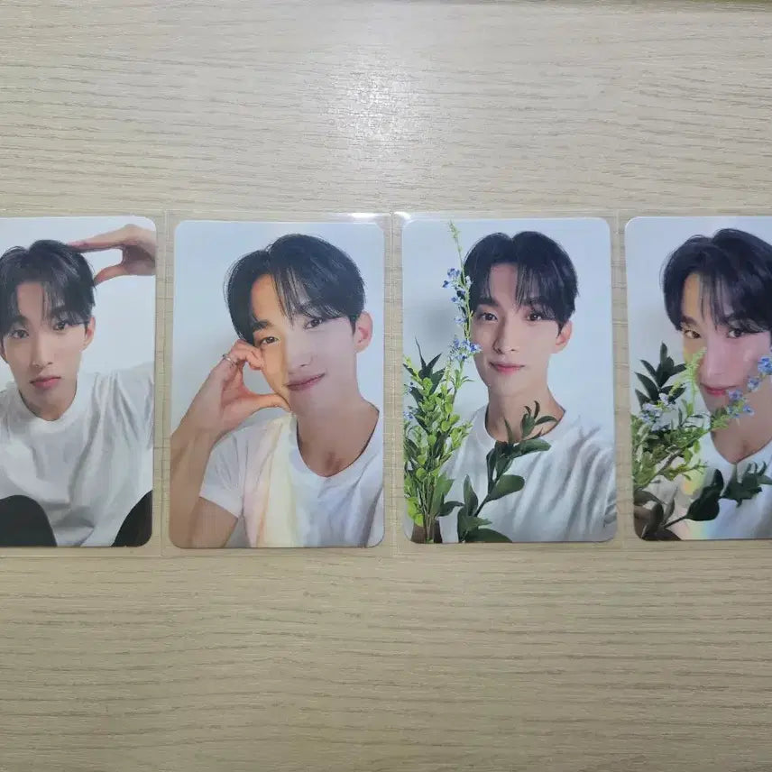 [BUNJANG] SEVENTEEN DK Best Album Carat Version Photocard Bundle Set / 도겸 베스트앨범 캐럿반 포카 드볼 일괄 svt dk