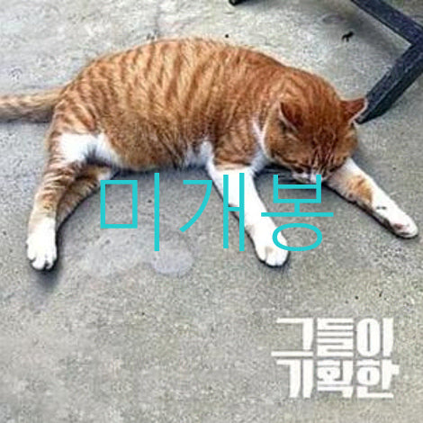 [BUNJANG] They Planned It - Hello (Sealed CD) / [미개봉] 그들이기획한 - 안녕 (CD)