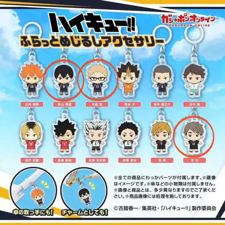 [BUNJANG] Haikyu!! Flat Mascot Gacha Kageyama, Tsukishima, Samu / 하이큐 플랫 메지루시 가챠 카게야마 츠키 오사무