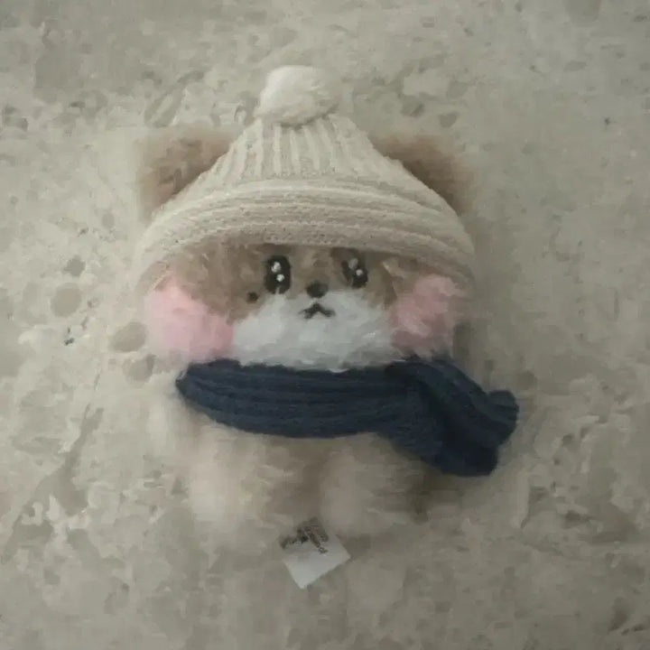 [BUNJANG] Zeroni Hanni Winter Edition Photocard Holder / 제로니 하니니 겨울남친