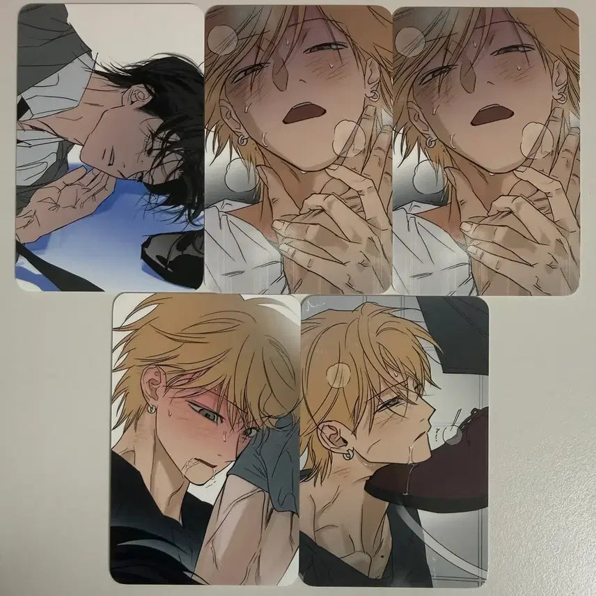 [BUNJANG] Full Collection Photocard Bundle Set / 풀북 컬포 컬렉션 포카 일괄 양도