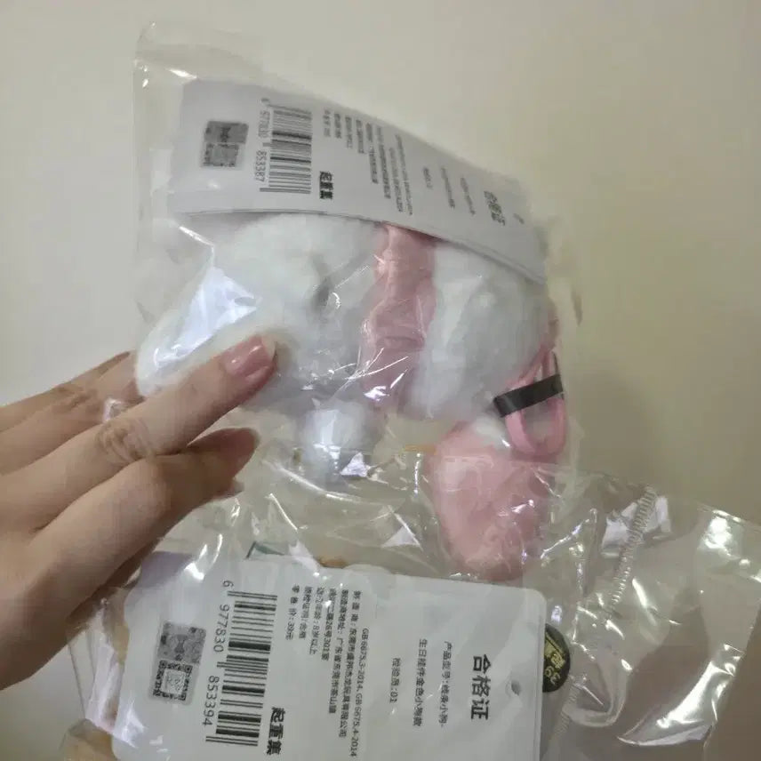 [BUNJANG] Maltese Mascot Plush Set (2 Pieces) / 몰티즈 마스코트 인형 2개 세트 판매합니다 (택포3)