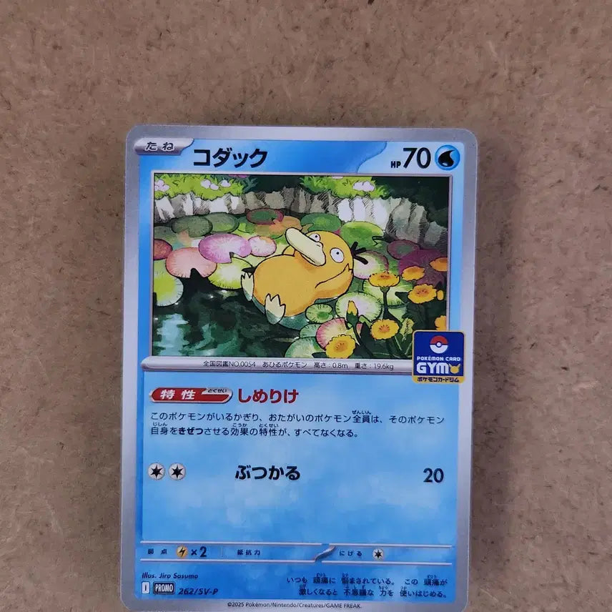 [BUNJANG] Golduck 262/SV-P PROMO Japan Exclusive Gym Promo Pokémon Card / 포켓몬카드 고라파덕 262/SV-P PROMO 짐 프로모 일본판 일판