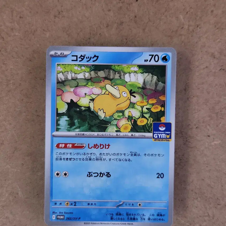 [BUNJANG] Golduck 262/SV-P PROMO Japan Exclusive Gym Promo Pokémon Card / 포켓몬카드 고라파덕 262/SV-P PROMO 짐 프로모 일본판 일판