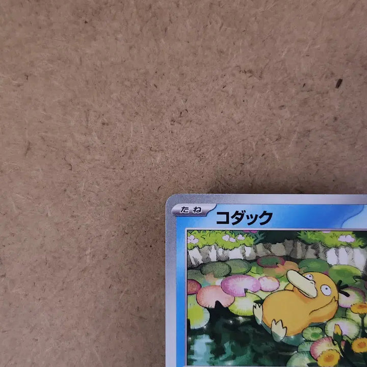 [BUNJANG] Golduck 262/SV-P PROMO Japan Exclusive Gym Promo Pokémon Card / 포켓몬카드 고라파덕 262/SV-P PROMO 짐 프로모 일본판 일판