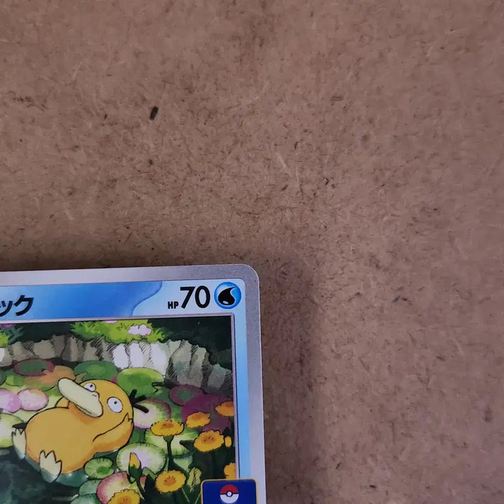[BUNJANG] Golduck 262/SV-P PROMO Japan Exclusive Gym Promo Pokémon Card / 포켓몬카드 고라파덕 262/SV-P PROMO 짐 프로모 일본판 일판