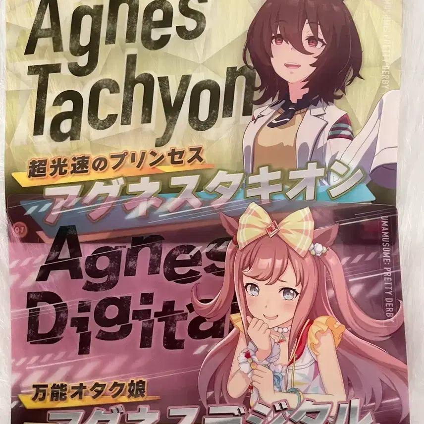 [BUNJANG] Uma Musume Agnes Tachyon &amp; Agnes Digital Clear Poster Bundle Set / 일괄 우마무스메 아그네스 타키온 아그네스 디지털 클리어 포스터