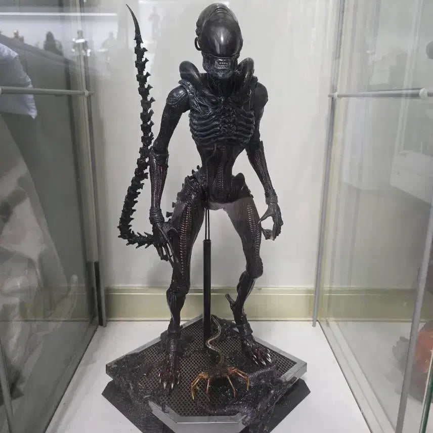 [BUNJANG] Hot Toys Alien Romulus Scorched Xenomorph Figure / 핫토이 에일리언 로물루스 스코치드 제노모프 판매합니다