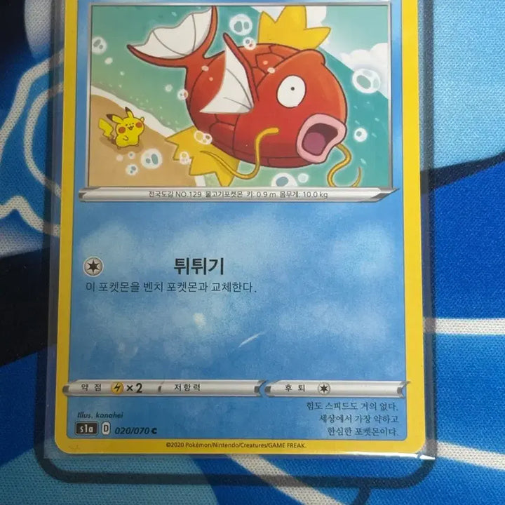 [BUNJANG] Pokemon Card Kanahei Magikarp / 포켓몬 카드 kanahei 잉어킹