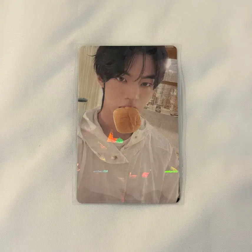 [BUNJANG] TWS Dohoon Weverse Japan SODASODA Photocard / 투어스 도훈 위버스 재팬 소다소다 포카 SODASODA 특전 포토카드