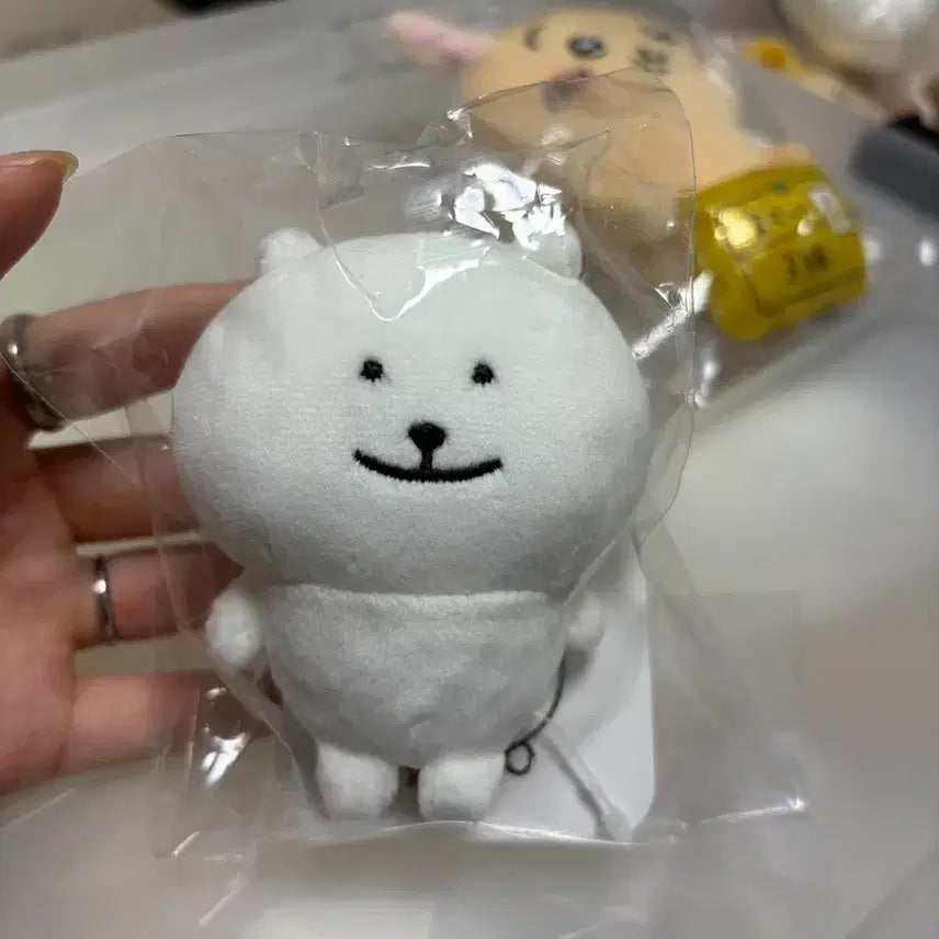 [BUNJANG] Nagano Market Nagano Nongdamgom Mini Plush / 나가노마켓 나가노 농담곰 미니 눙담곰 누이 판매 양도