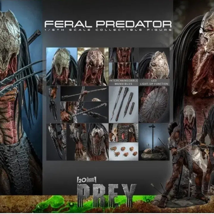 [BUNJANG] Hot Toys TMS114 Prey Predator 1/6 Scale Figure / 핫토이 - TMS114 프레이 페럴 프레데터