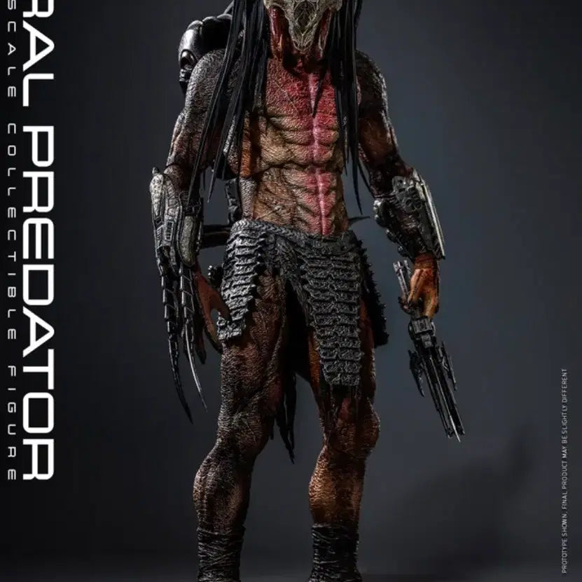 [BUNJANG] Hot Toys TMS114 Prey Predator 1/6 Scale Figure / 핫토이 - TMS114 프레이 페럴 프레데터