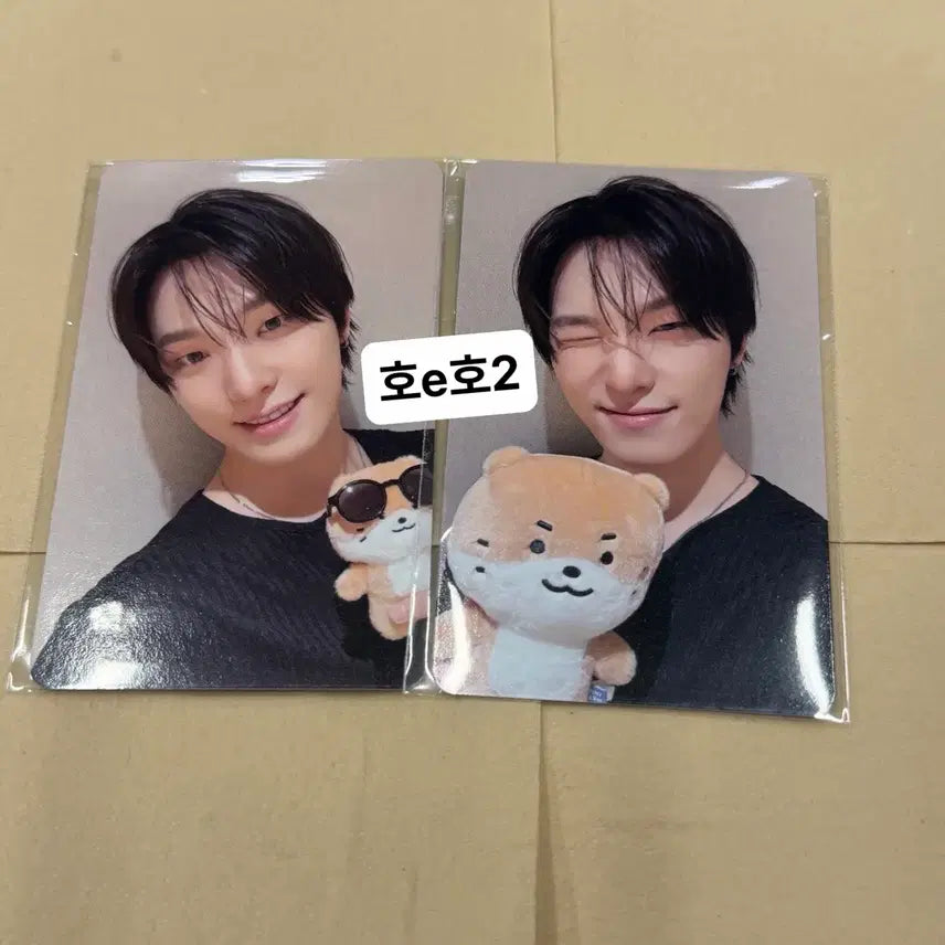 [BUNJANG] SEVENTEEN Dino Billboard Pop-up Lucky Draw POB Bundle Set / 세븐틴 디노 피철인 길보드 팝업 럭드 럭키드로우 특전 일괄