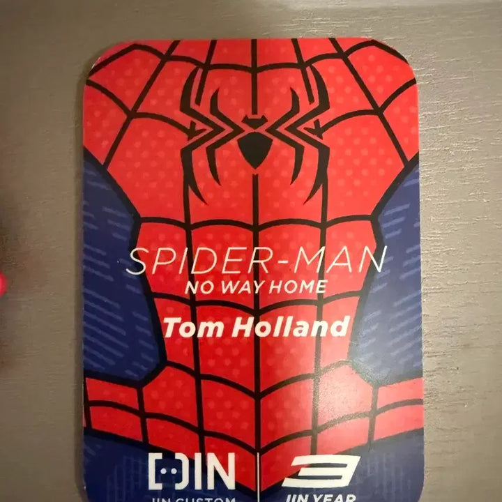 [BUNJANG] LEGO Custom Green Goblin Spider-Man Minifigure / 레고 커스텀 진 스파이더맨