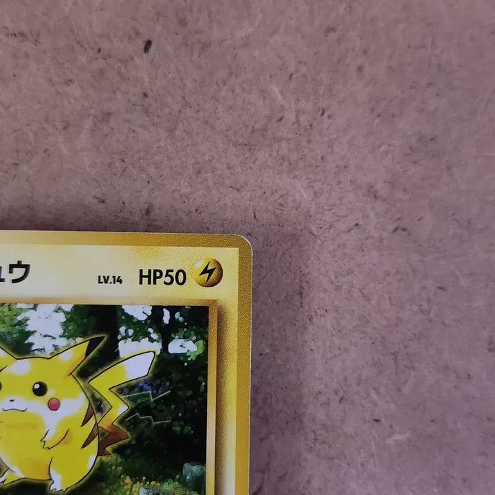 [BUNJANG] 1997 Jungle Pikachu Common Japanese Pokemon Card (Old Back) / 1997년 구뒷면 피카츄 포켓몬 정글 커먼 포켓몬카드 일판 일본판