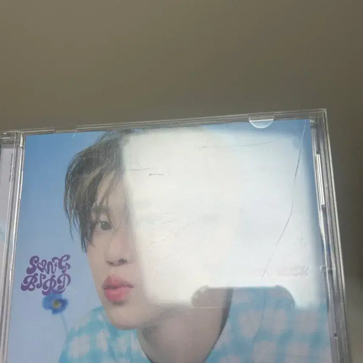 [BUNJANG] NCT WISH Songbird Ver. Riku Sion Bundle Set CD / 엔시티 위시 송버드 개인반 cd 리쿠 시온 일괄