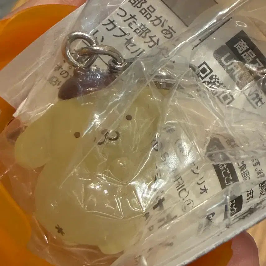 [BUNJANG] Sanrio Pompompurin Medallion Gachapon / 폼폼푸린 메지루시 가챠