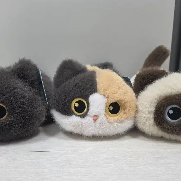 [BUNJANG] Set of 3 Cat Plush Toys / 고양이 인형 3종 세트