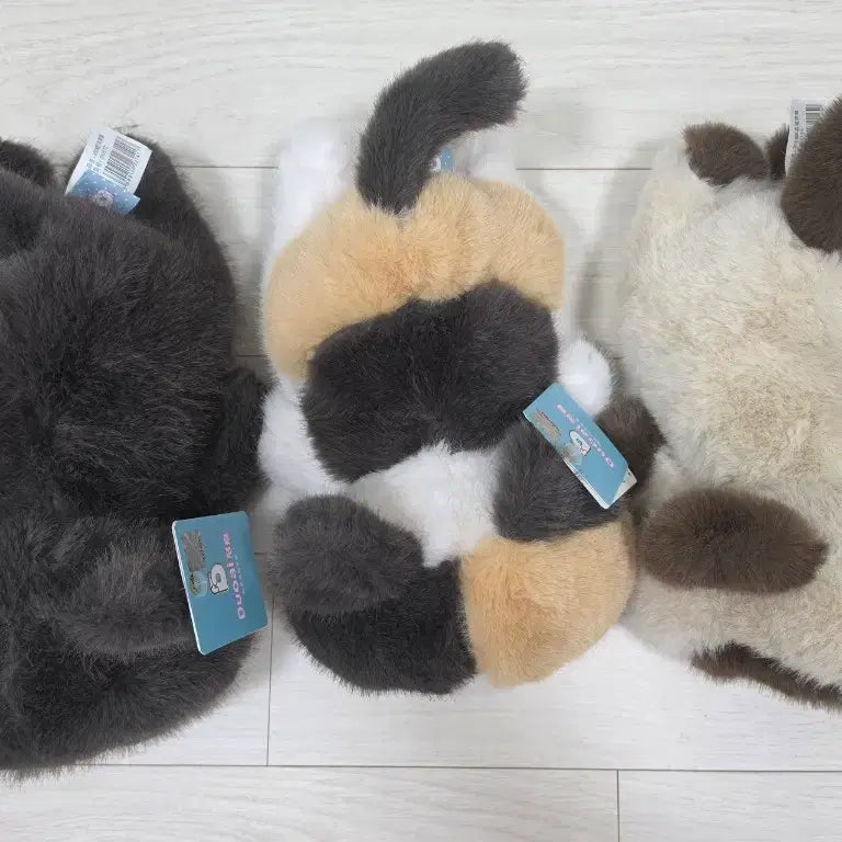 [BUNJANG] Set of 3 Cat Plush Toys / 고양이 인형 3종 세트