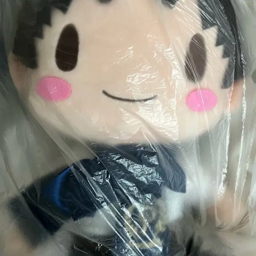 [BUNJANG] Evangelion Ikari Shinji Sega Plush / 에반게리온 이카리신지 세가 인형