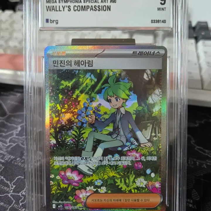 [BUNJANG] 2025 Pokemon Card Wally&