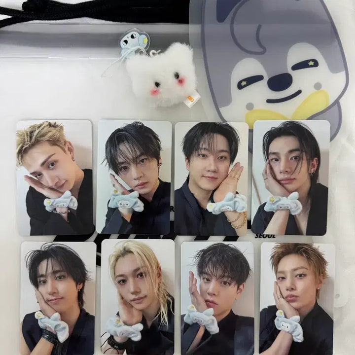 [BUNJANG] Stray Kids Entrance Gift Full Set / 스트레이키즈 스키즈 입장기프트 full set