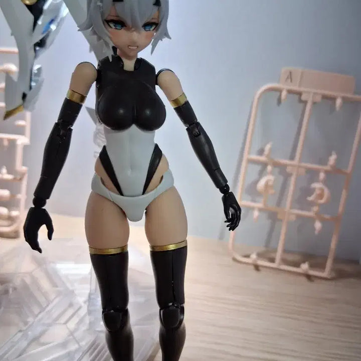 [BUNJANG] Animester GirL-Gunpla / 애니메스터 걸프라