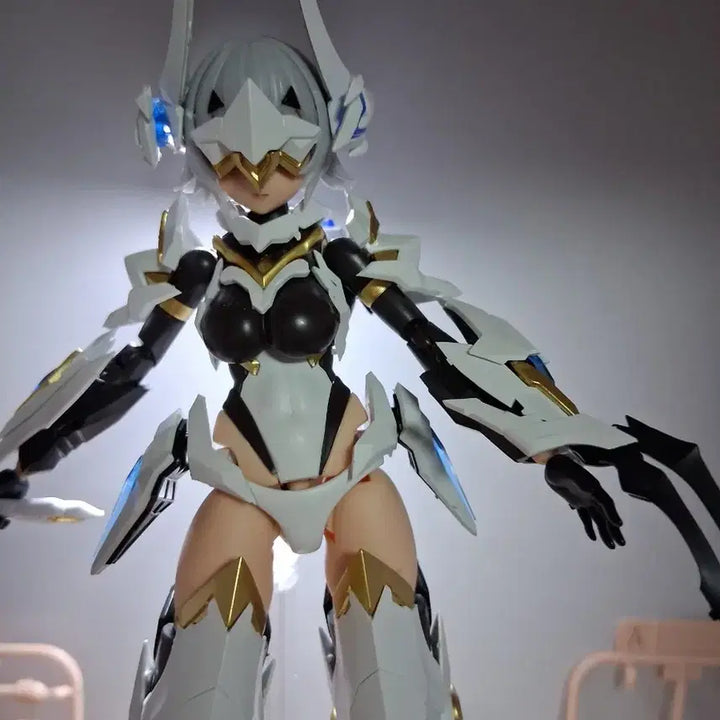 [BUNJANG] Animester GirL-Gunpla / 애니메스터 걸프라