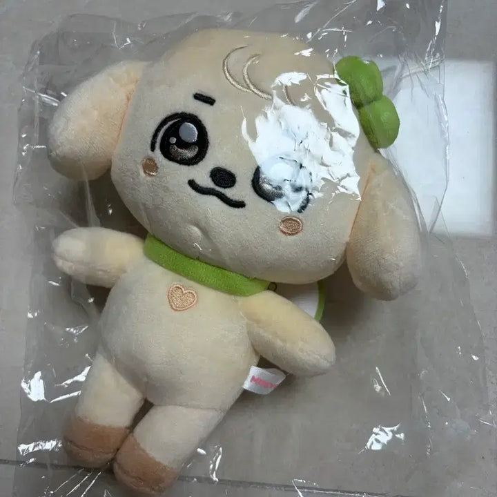 [BUNJANG] Gang Anji Original Plush / 강안지 오리지널 플러시
