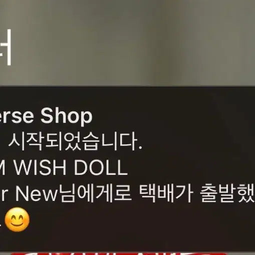 [BUNJANG] NCT WISH 30cm Daengtreever Doll / 엔시티위시 30cm 댕트리버