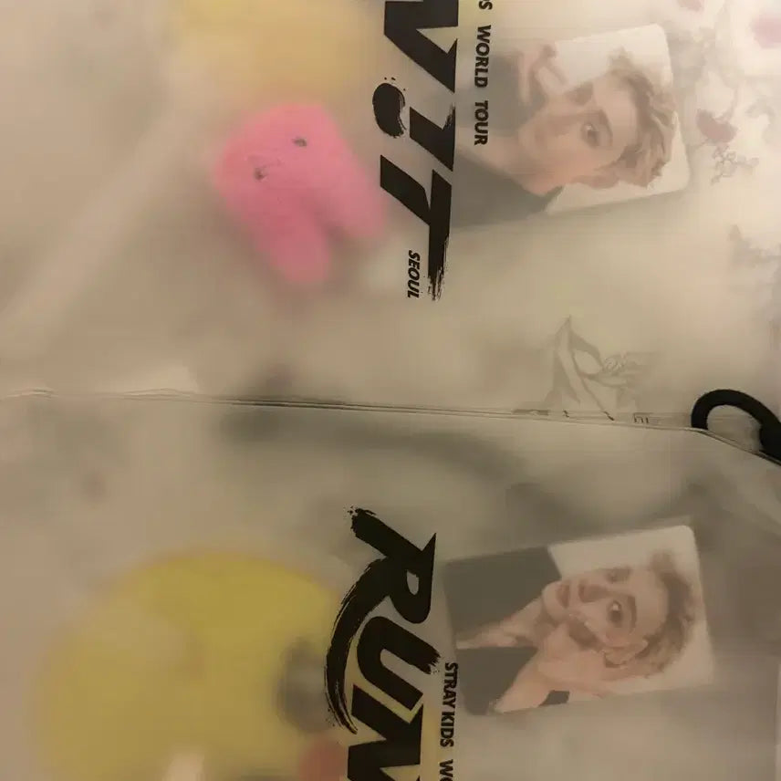 [BUNJANG] Stray Kids World Tour &
