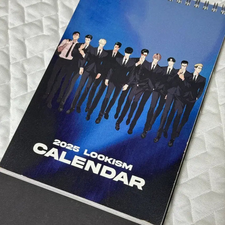 [BUNJANG] Lookism 2025 Calendar / 외모지상주의 2025년 캘린더 달력