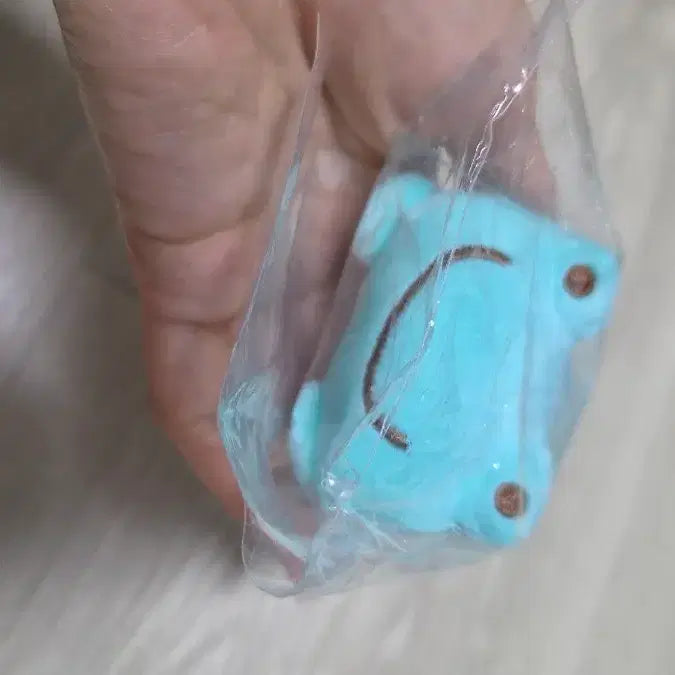 [BUNJANG] Pompompurin Secret Mascot (Mint) / 폼폼푸린 시크릿 마스코트 민트 1개
