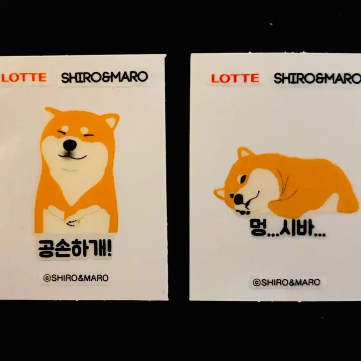 [BUNJANG] Shihiba Inu Ttibusel Sticker Set - Shiro &amp; Maro / 시바견 띠부씰 - 롯데 시로&amp;마로