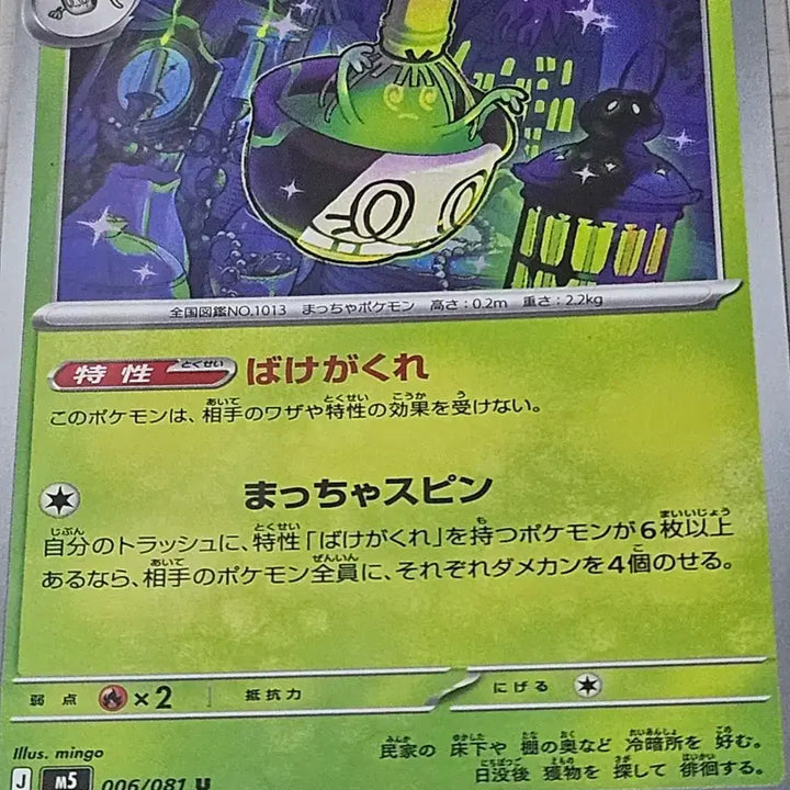 [BUNJANG] Pokemon Card Charizard, Groudon Japanese Set / 포켓몬카드 차데스, 그우린차 일판 세트 [10%할인]