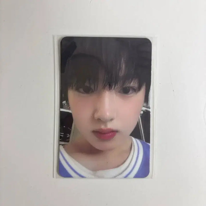 [BUNJANG] Sakura Photocard / 사쿠야 포카 판매 (수수료 포함)