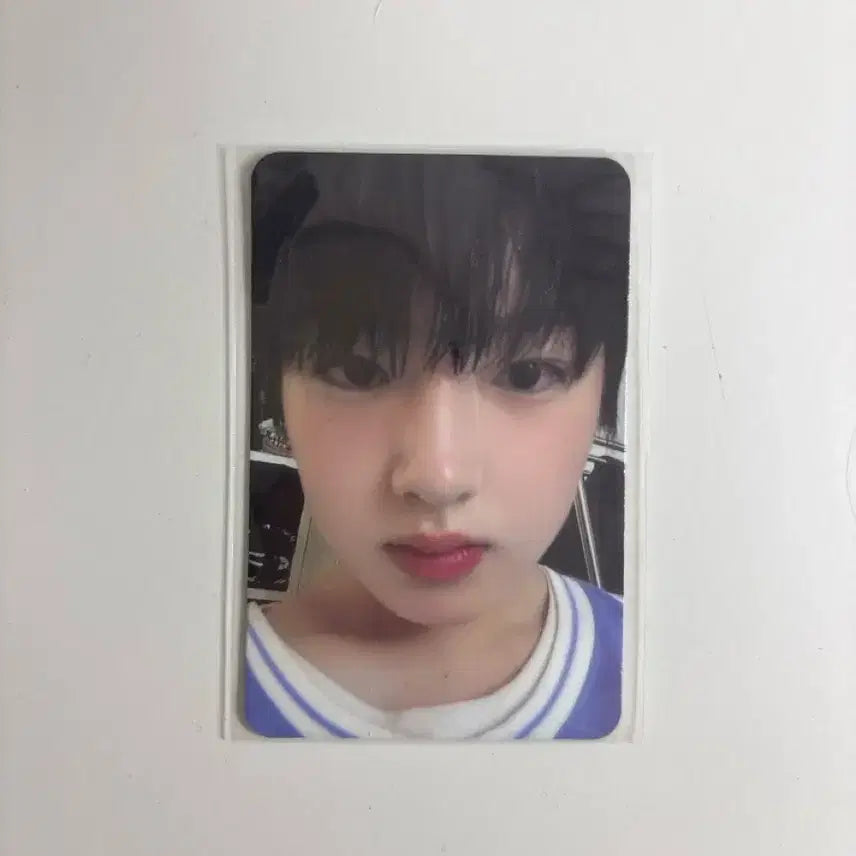 [BUNJANG] Sakura Photocard / 사쿠야 포카 판매 (수수료 포함)