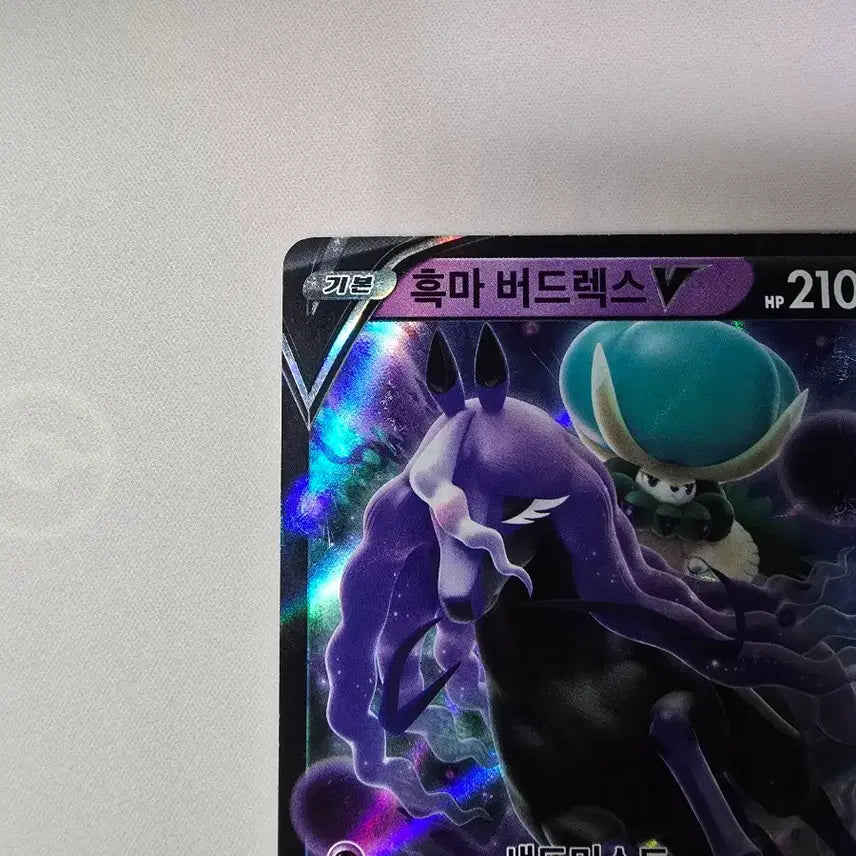 [BUNJANG] Pokemon Card Spectrier V RR 036/070 Korean Edition / 포켓몬카드 흑마 버드렉스 V RR 036/070 한글판