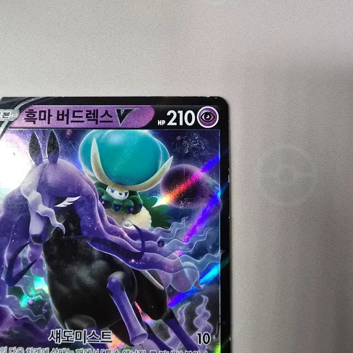 [BUNJANG] Pokemon Card Spectrier V RR 036/070 Korean Edition / 포켓몬카드 흑마 버드렉스 V RR 036/070 한글판