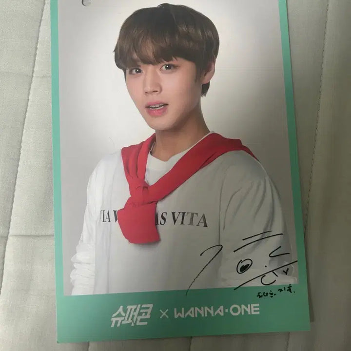 [BUNJANG] Park Jihoon Super Concert Postcard Set / 박지훈 슈퍼콘 엽서