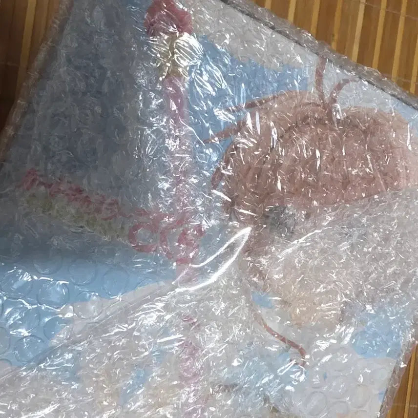 [BUNJANG] Banpresto Cardcaptor Sakura Clear Card Arc Figure (Sealed) / [미개봉] 반프레스토 카드캡터사쿠라 체리 클리어카드편 피규어