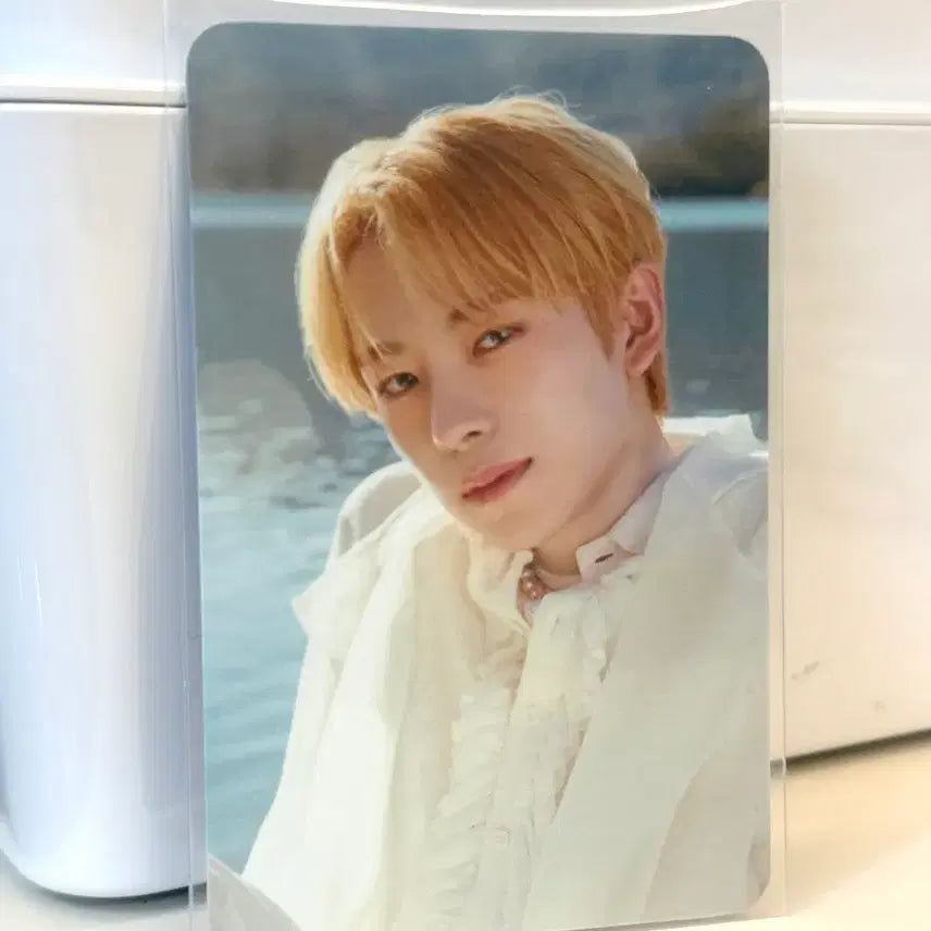 [BUNJANG] Yuci Yuci Photocard Concept Photo / 위시 유우시 포카 포토카드 컨포