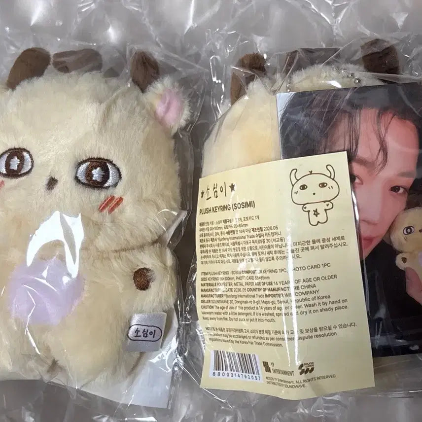 [BUNJANG] Park Jihoon Ssimi Doll (Photocard Included) - Sealed / 미개봉) 박지훈 소심이 인형 (포카포함)