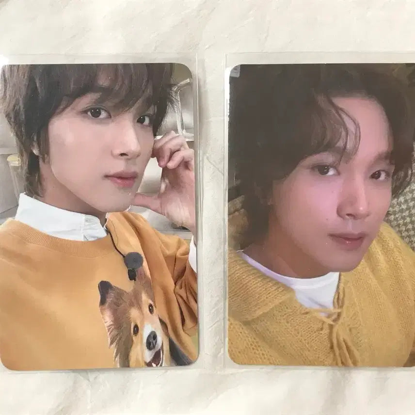 [BUNJANG] NCT Haechan Photocard Bundle Set / 엔시티 해찬 포카