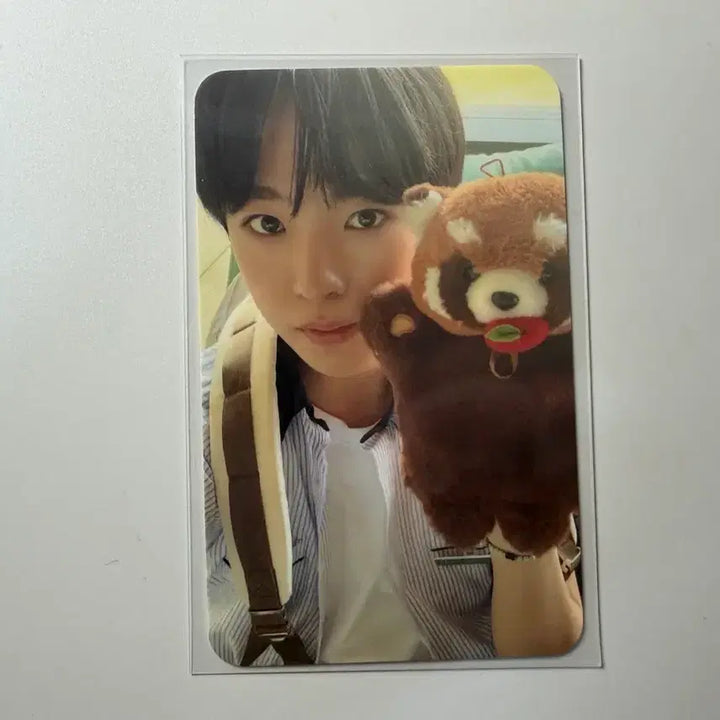 [BUNJANG] NCT WISH YUSHI Everlasting Friend Photocard / 엔시티위시 유우시 에버위시 포카