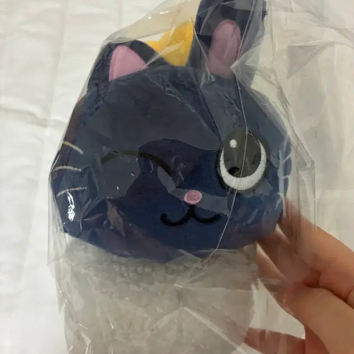 [BUNJANG] RIIZE Japan Pop-up Store Sushi Ttonyangdeok Photocard Holder / 미개봉 라이즈 일본 팝업 스토어 스시 초밥 토냥덕